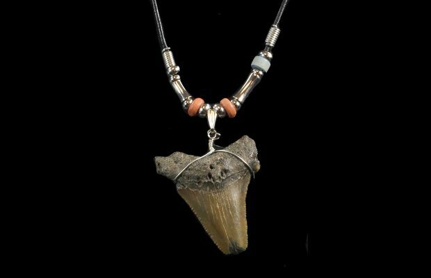 fossil necklaces