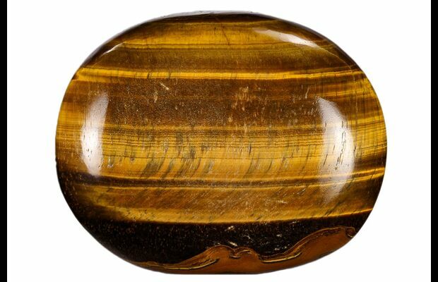 tigers eye south africa