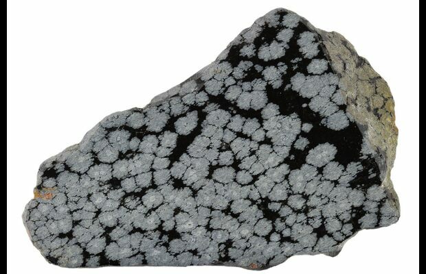 4 Polished Snowflake Obsidian Section Utah For Sale Fossilera Com