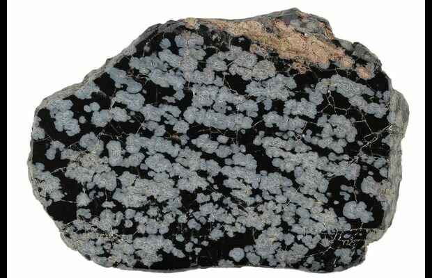 3 8 Polished Snowflake Obsidian Section Utah For Sale Fossilera Com